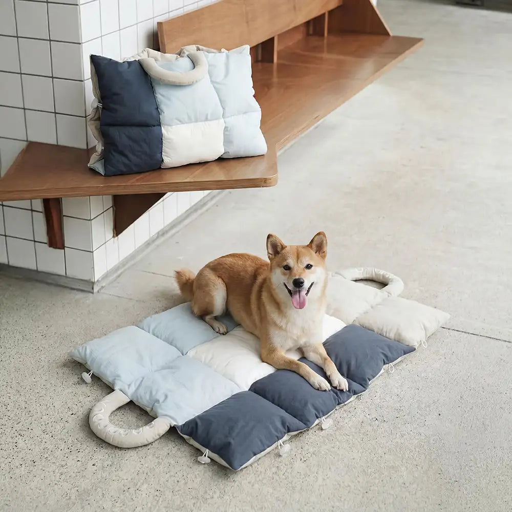 2 In 1 Multifunctional Water-Repellent Pet Mat Puppy Carrier Bag
