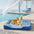 Cooling Orthopedic Washable Large Dog Sofa Bed - Outdoor