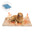 Fluffy Faux Rabbit Fur Washable Warm Pet Mat - ComfyEase