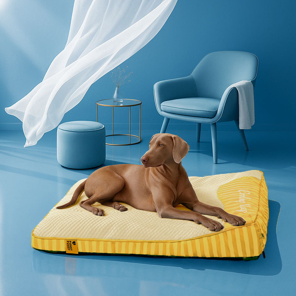 Large Washable Cooling Non-slip Outdoor Dog Mat - Cooling Nap