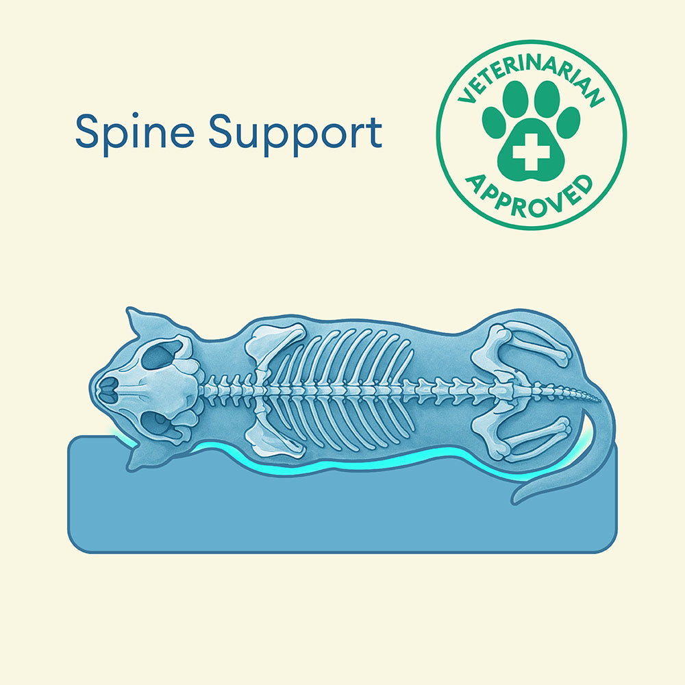 Fully Orthopedic Surround Support Waterproof Large Dog Bed - Pet-Friendly Bedroom