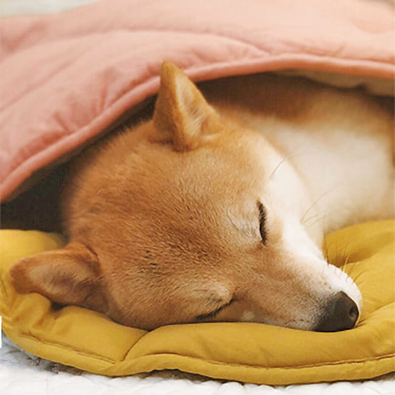 Calming Dog Blanket - Leaf Shape