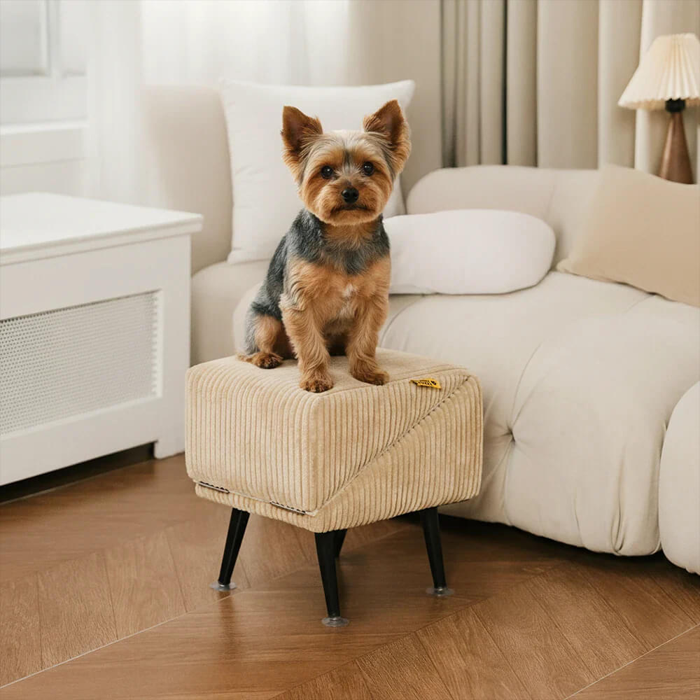 3-in-1 Comfy Corduroy Reinforced Alloy Pet Ramp & Side Stool – StepSure
