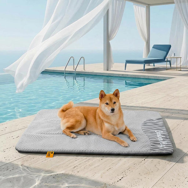 Large Washable Cooling Non-slip Dog Mat - Cooling Nap