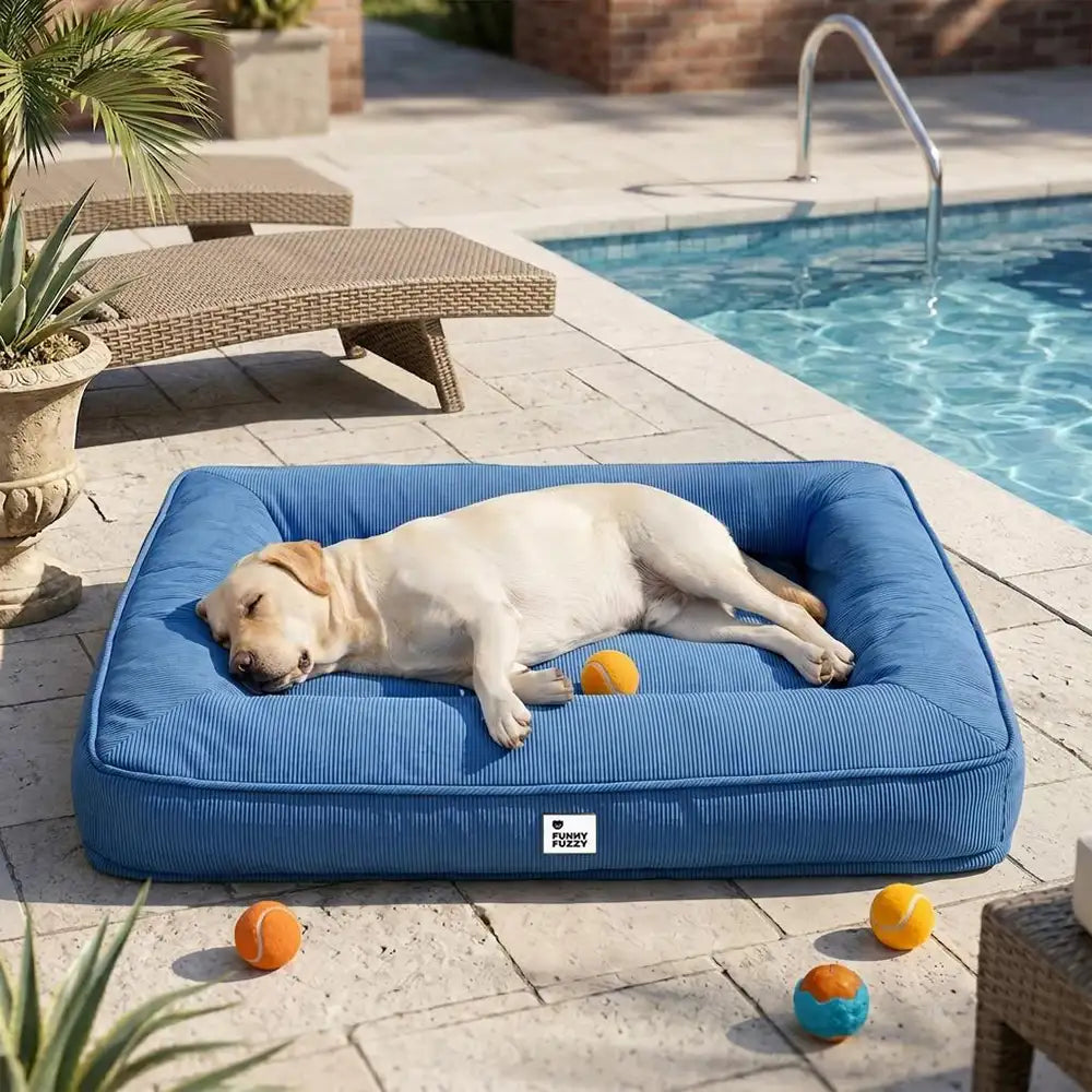 Fully Orthopaedic Surround Support Waterproof Fabric Anti-Anxiety Large Dog Bed