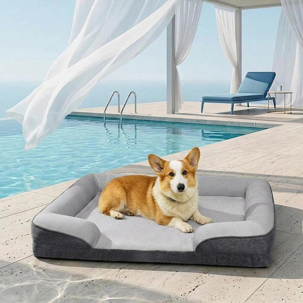 Cooling Orthopedic Washable Large Dog Sofa Bed - Outdoor
