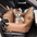ISOFIX Dog Car Seat Bed with ISOFIX System - First Class
