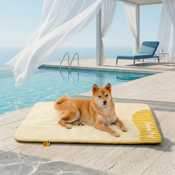 Large Washable Cooling Non-slip Dog Mat - Cooling Nap