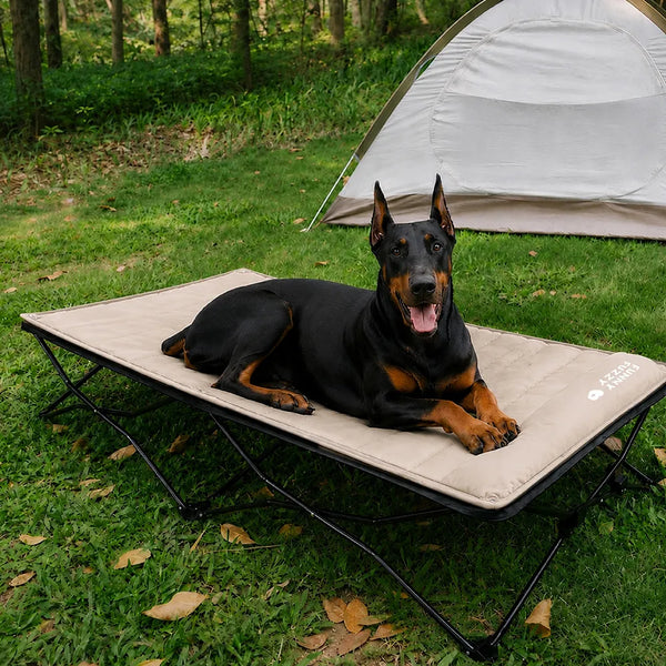Foldable Elevated Dog Bed With Waterproof Mat-Urban Roaming