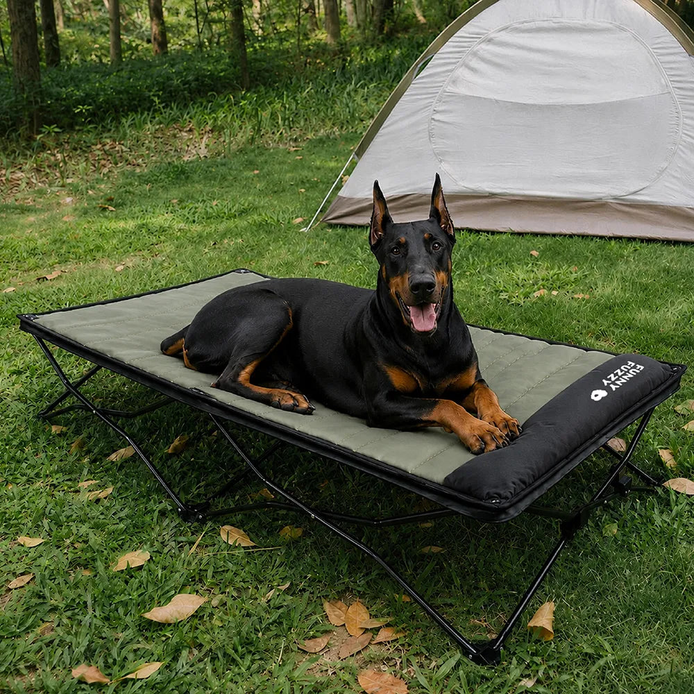 Foldable Elevated Dog Bed With Waterproof Mat-Urban Roaming