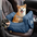 Portable ISOFIX Dog Car Seat Bed