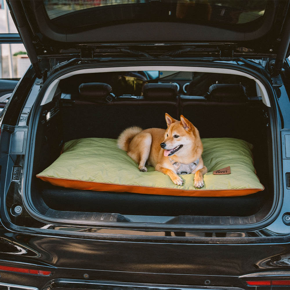 Luxury Water-repellent Dual-Sided Calming Dog Mat