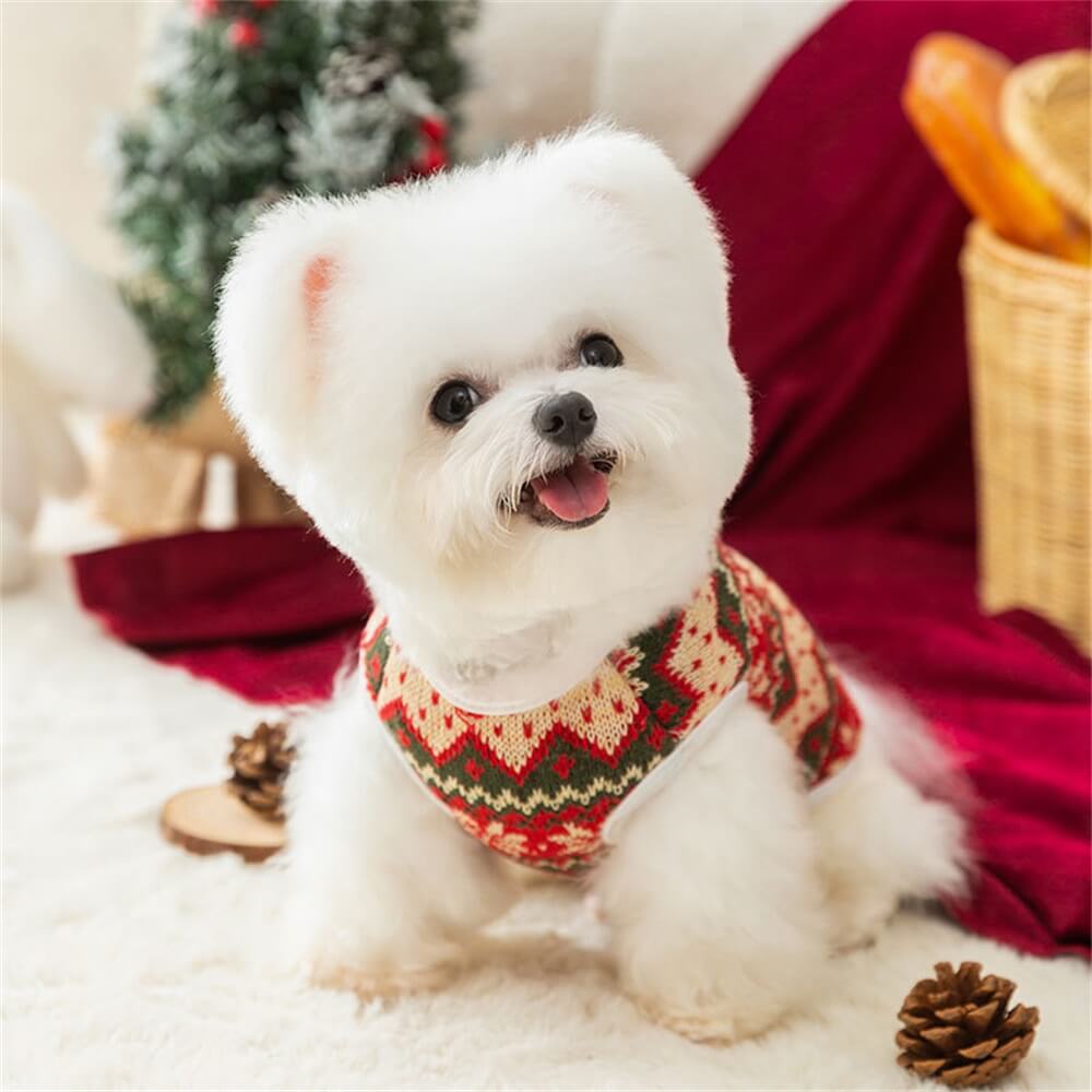 Festive Bear Knit Dog Sweater – Cosy and Perfect for the Holidays