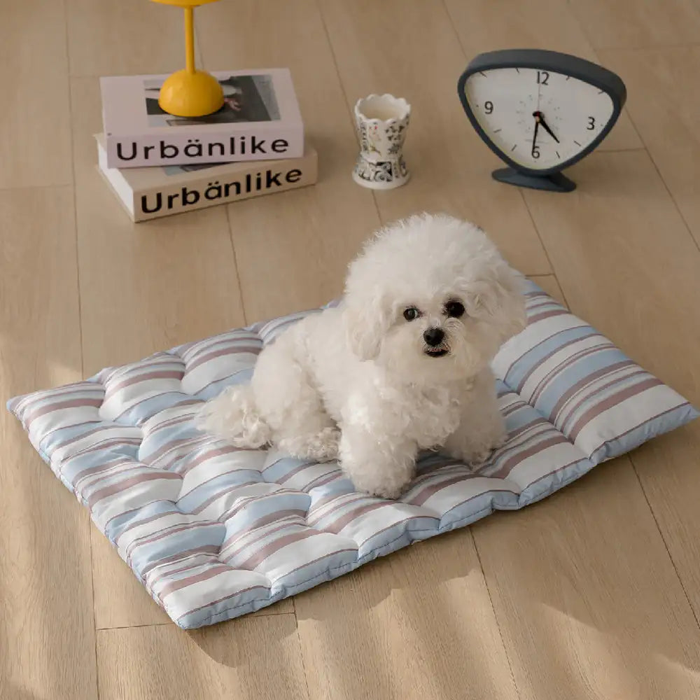 All-Season Breathable Double-Sided Neck Support Pillow Dog Mat