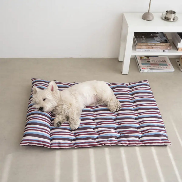 All-Season Breathable Double-Sided Neck Support Pillow Dog Mat