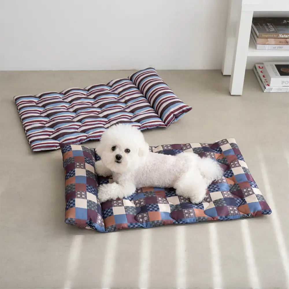 All-Season Breathable Double-Sided Neck Support Pillow Dog Mat