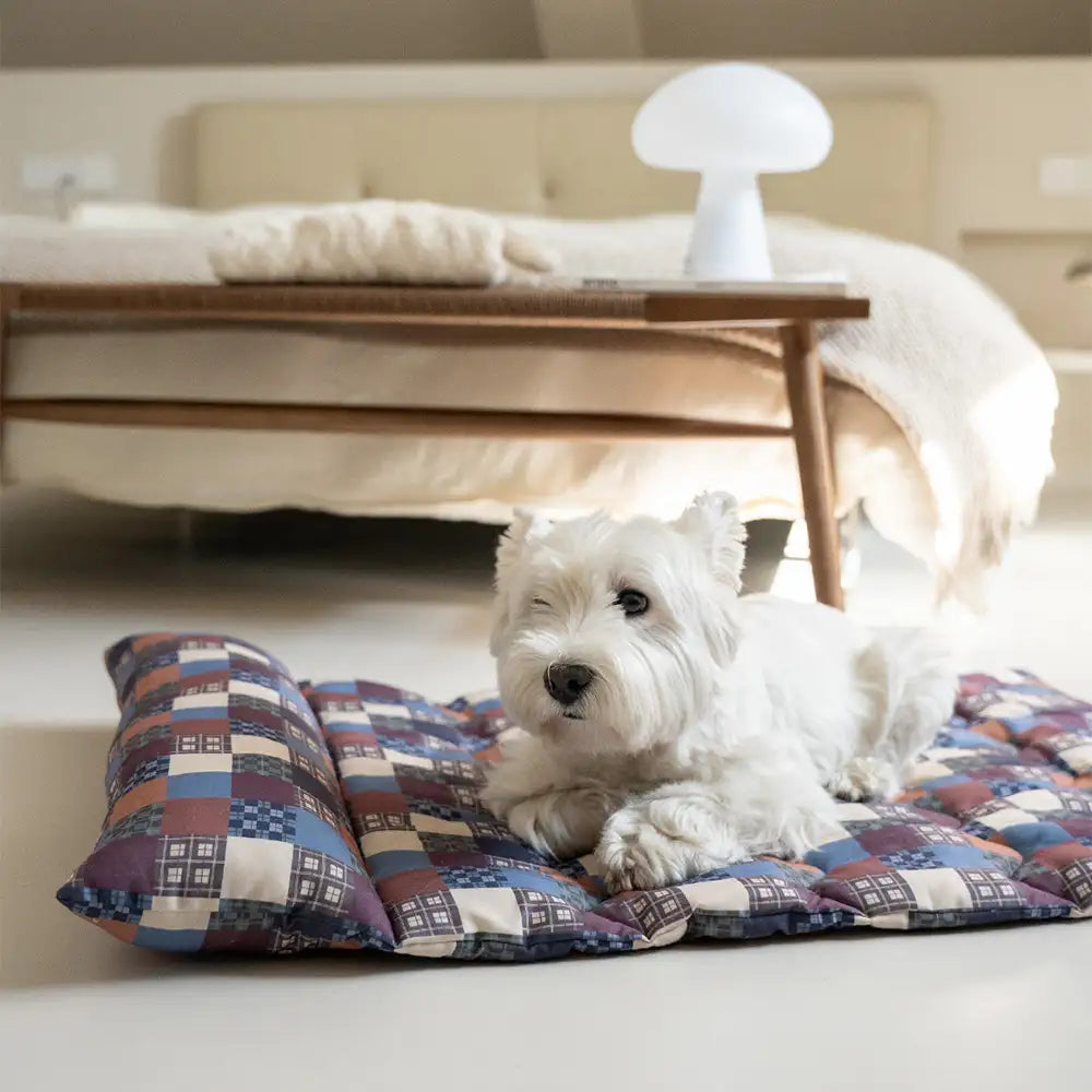 All-Season Breathable Double-Sided Neck Support Pillow Dog Mat