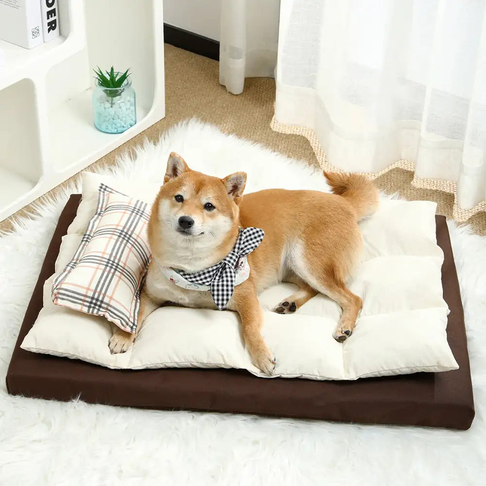 All In One Multi-Functional Water-Repellent Comfort Dog Bed With Pillow
