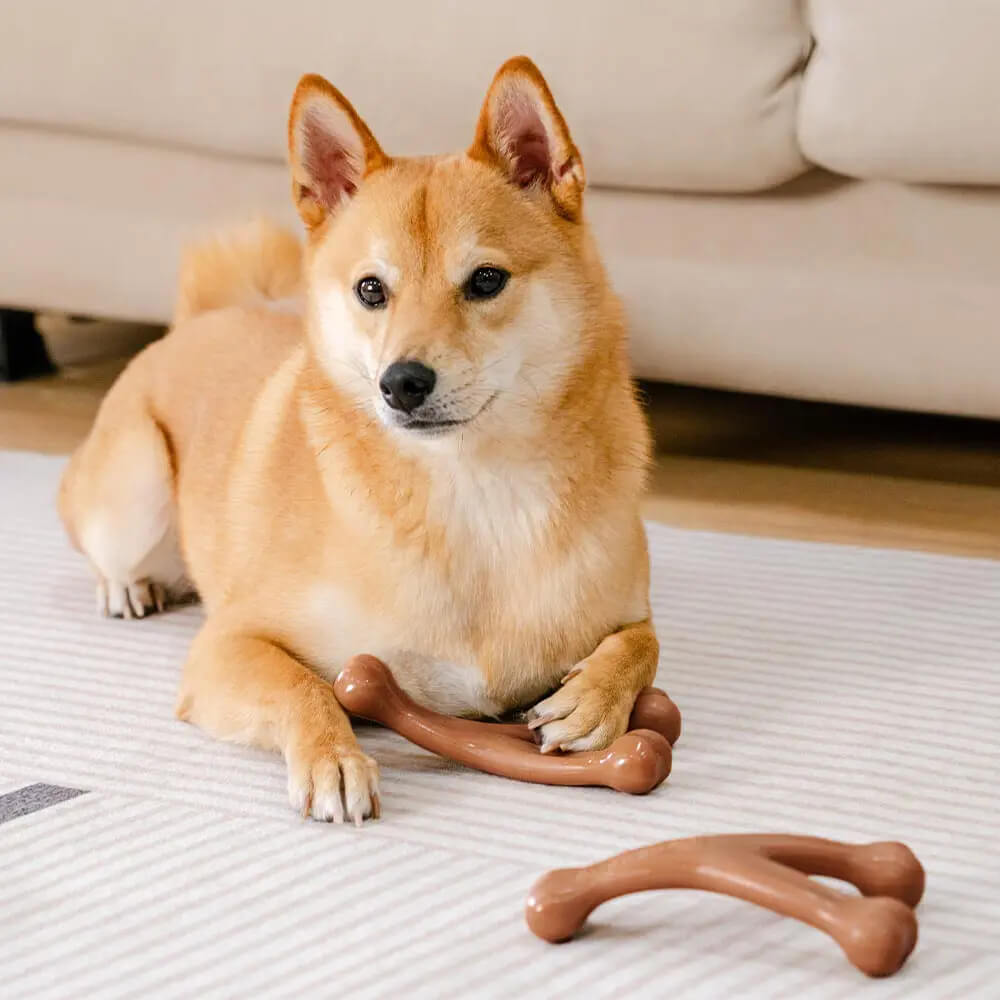 Bacon Flavoured Durable Teething Bones Dog Chew Toy