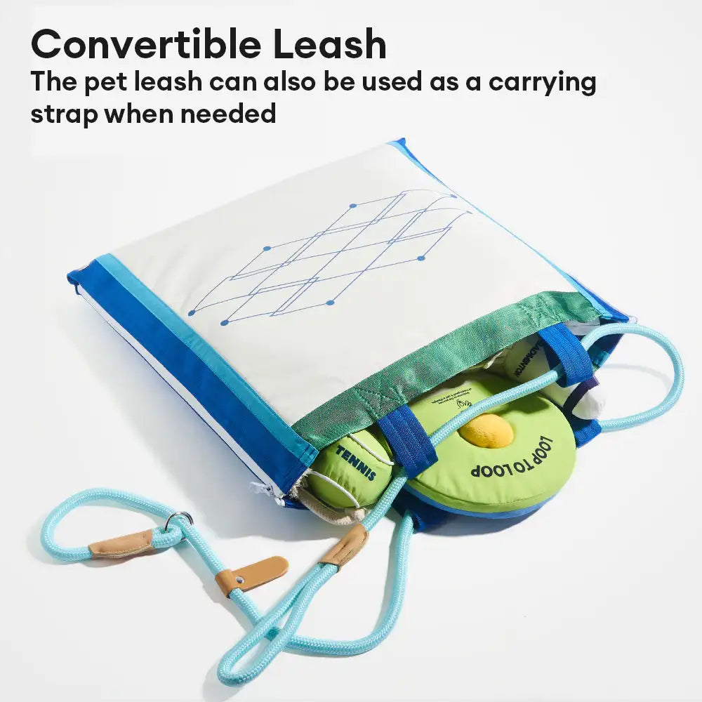 Beach Fun Series Ball Educational Interactive Dog Toys