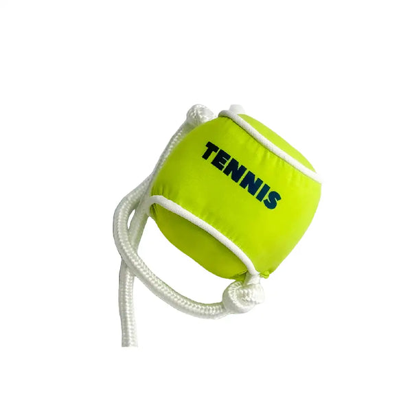 Beach Fun Series Ball Educational Interactive Dog Toys