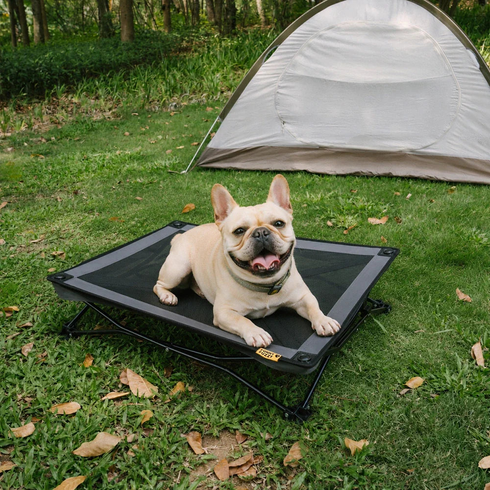 Cooling Foldable Elevated  Outdoor Dog Bed-Urban Roaming