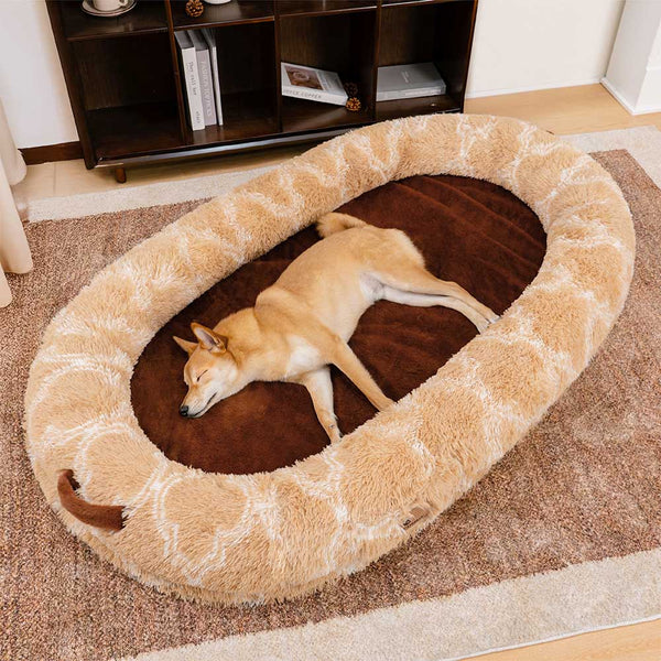 Luxury Super Large Sleep Deeper Human Dog Bed