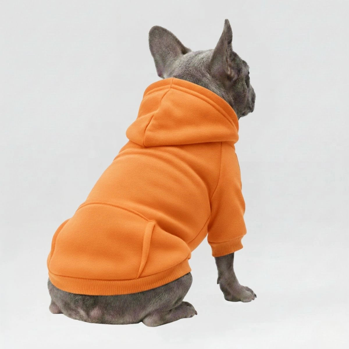 Autumn and Winter Pocket Sweatshirt Double Legs Sports Style MultiColour Pet Dog Clothes Dog Hoodie