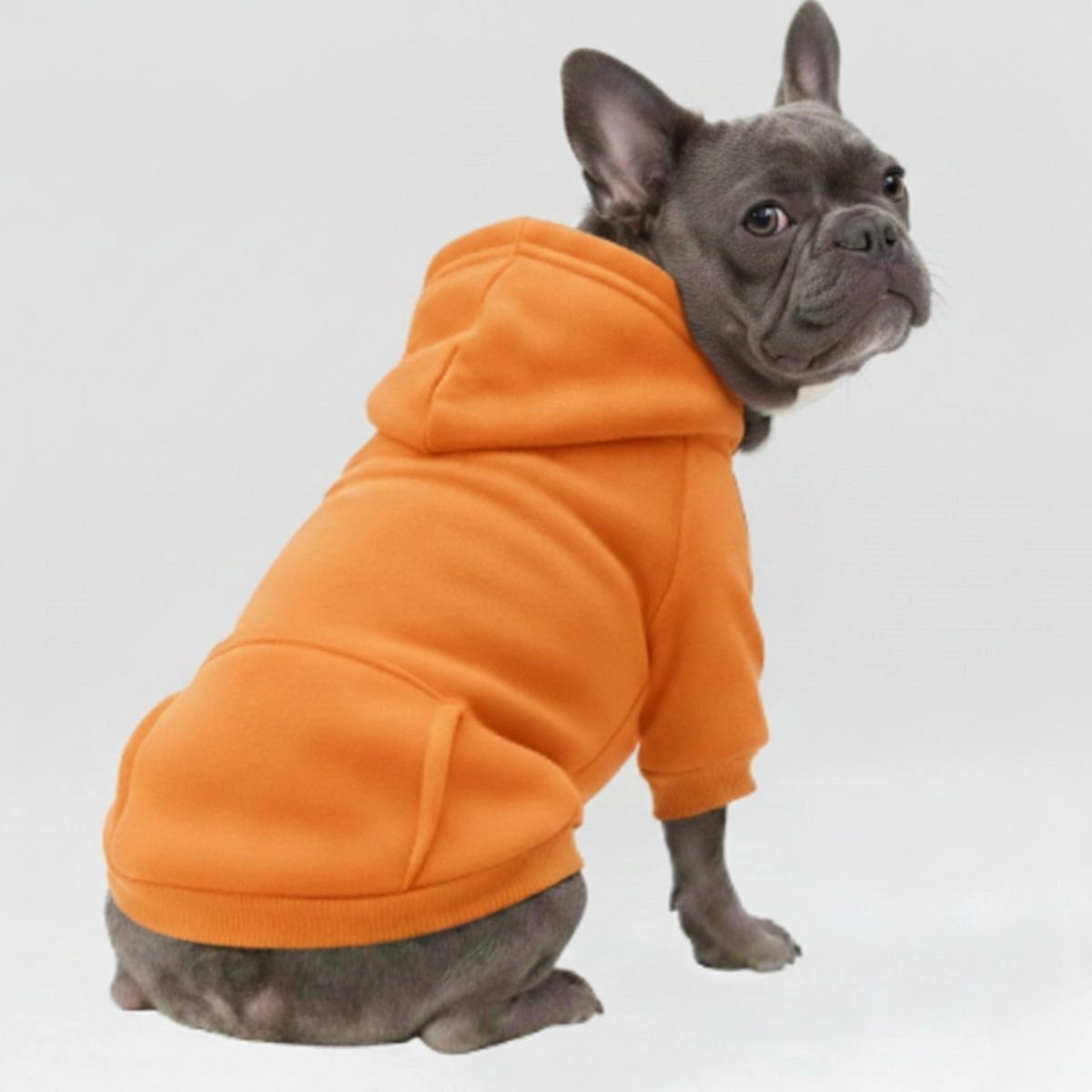 Autumn and Winter Pocket Sweatshirt Double Legs Sports Style MultiColour Pet Dog Clothes Dog Hoodie