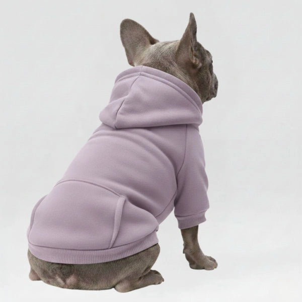 Autumn and Winter Pocket Sweatshirt Double Legs Sports Style MultiColour Pet Dog Clothes Dog Hoodie