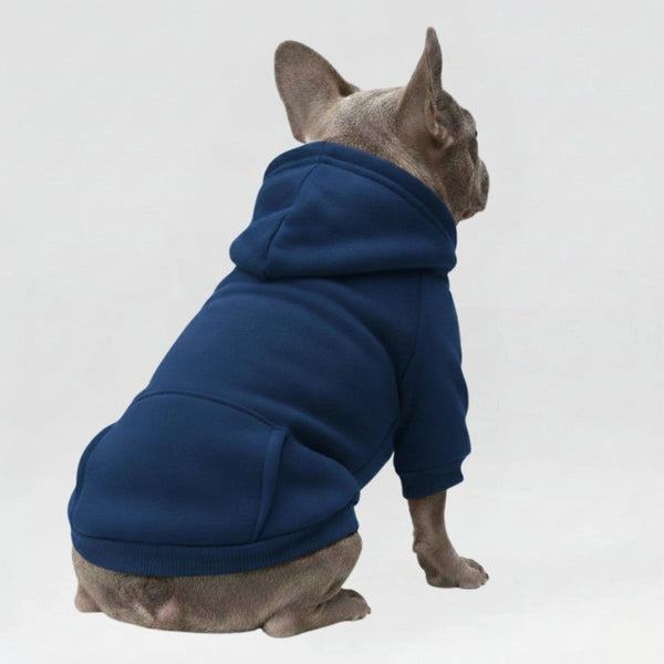 Autumn and Winter Pocket Sweatshirt Double Legs Sports Style MultiColour Pet Dog Clothes Dog Hoodie