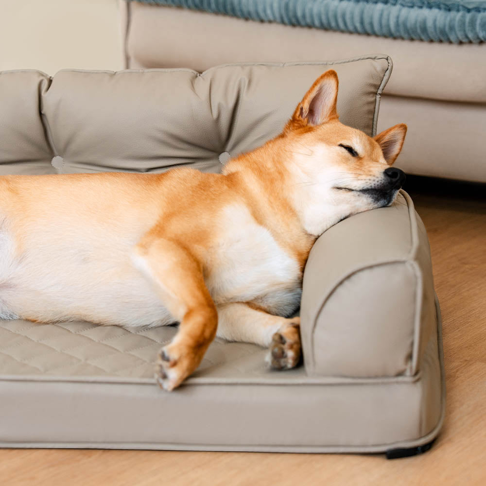 Luxe Faux Leather Foldable Orthopedic Outdoor Large Dog Bed