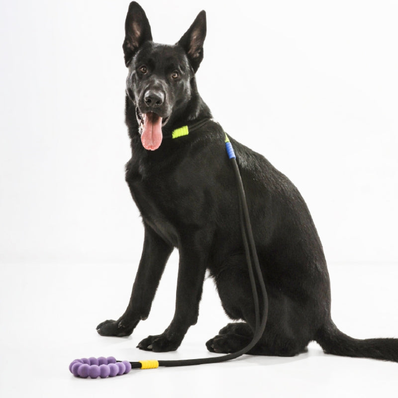 Cotton Candy Dual-Section Braided Dog Walking Lead