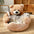 Cute Detachable Cuddle Bear Dog & Cat Bed