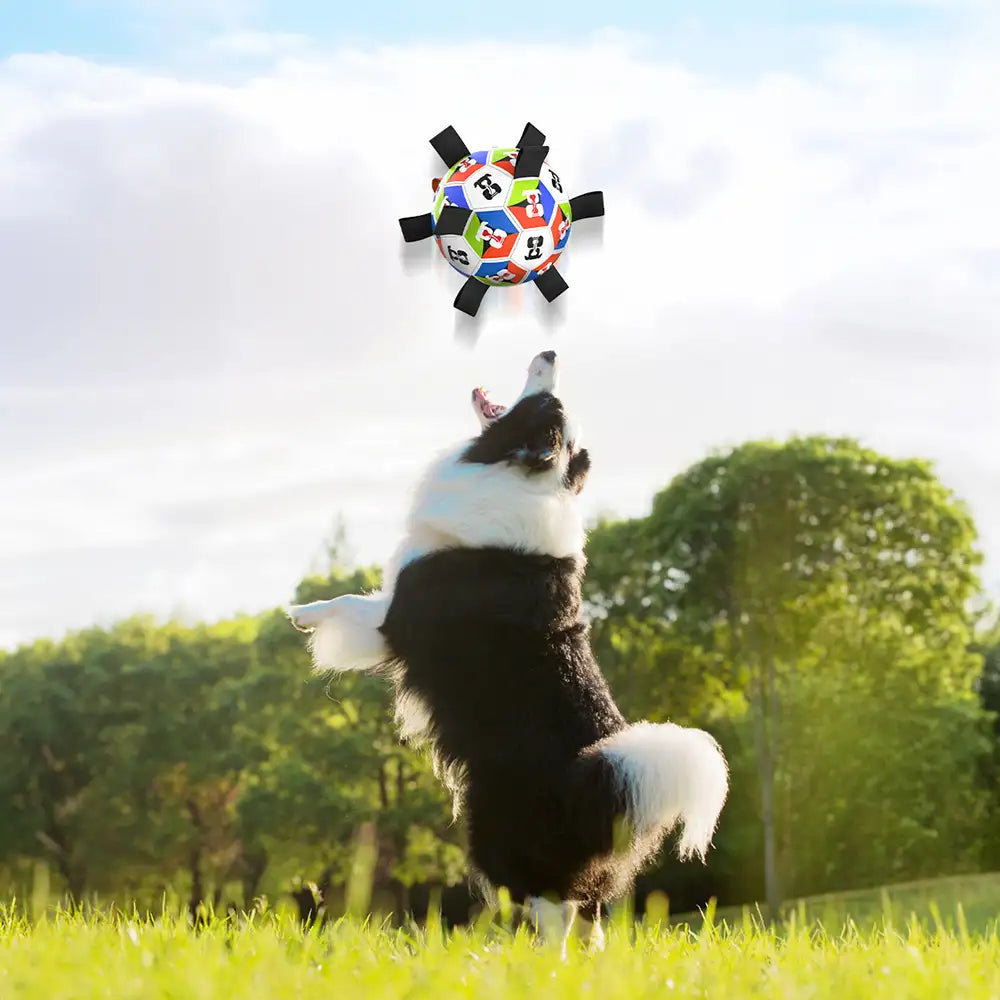 Dog Soccer Ball with Straps Interactive Dog Toy