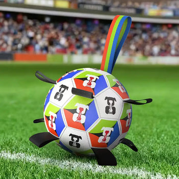 Dog Soccer Ball with Straps Interactive Dog Toy