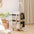 Double-Layer Spacious Multi-Cat Travel Rolling Pet Carrier Bag with Wheels