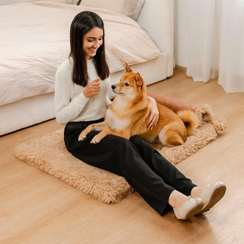 Dual-Sided Faux Leather＆Warm Plush Removable Sponge Dog Mat With Pillow