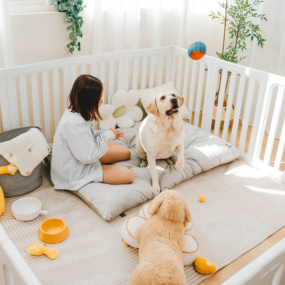 Dual-Sided Cosy Plush Washable Calming Dog Mat