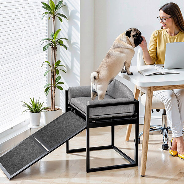 Elevated Pet Sofa Bed with Stairs Ramp for Bedside Lounge or Dog Window Perch - Pet-Friendly Bedroom