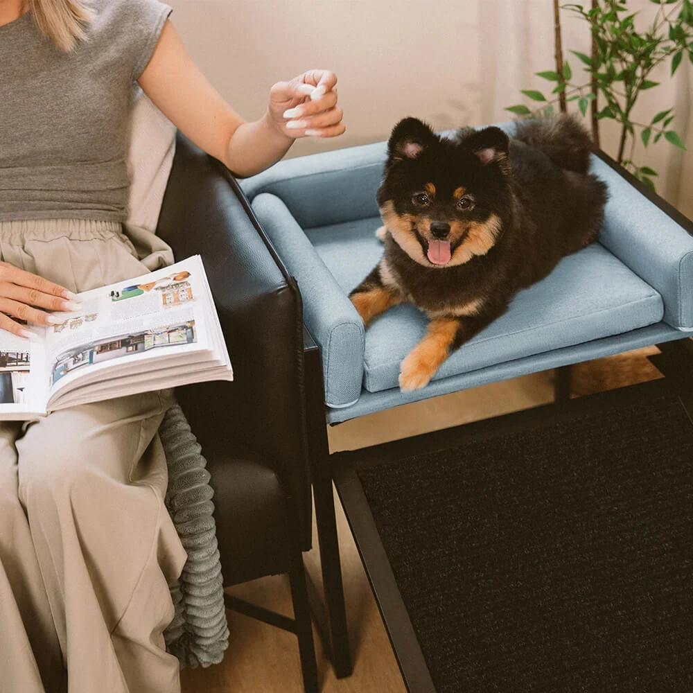 Elevated Pet Sofa Bed with Steps Ramp for Bedside Lounge or Dog Window Perch