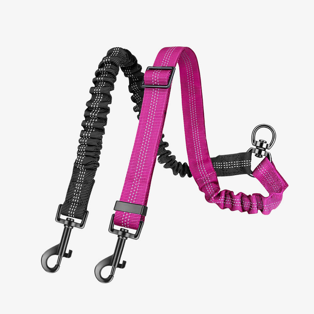 No-Tangle Shock Absorbing Double Lead Dog Lead