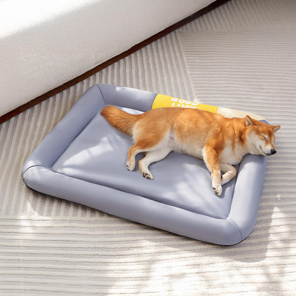 Colourblock Waterproof Scratch-Resistant All-Season Dog Mat