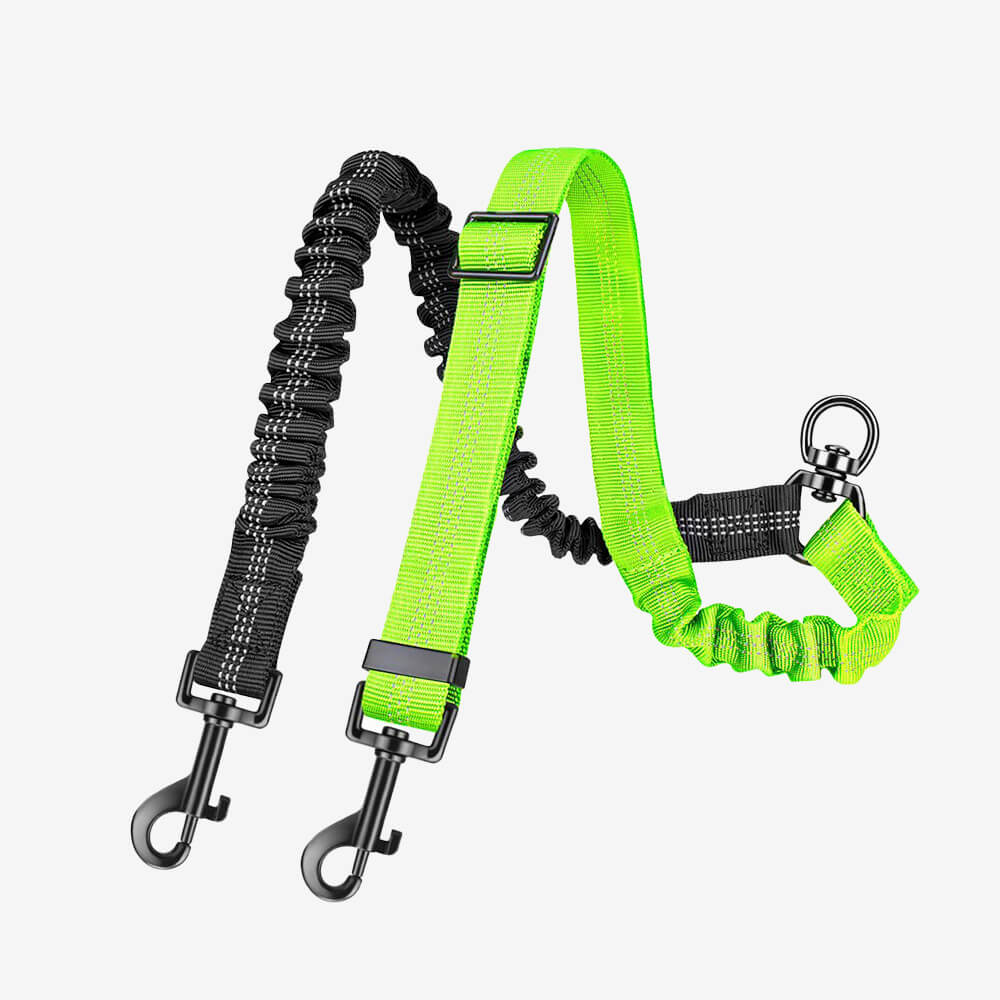 No-Tangle Shock Absorbing Double Lead Dog Lead