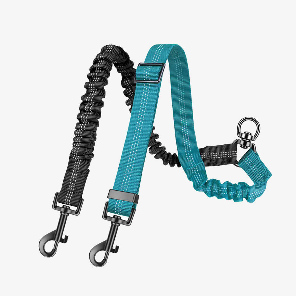 No-Tangle Shock Absorbing Double Lead Dog Lead