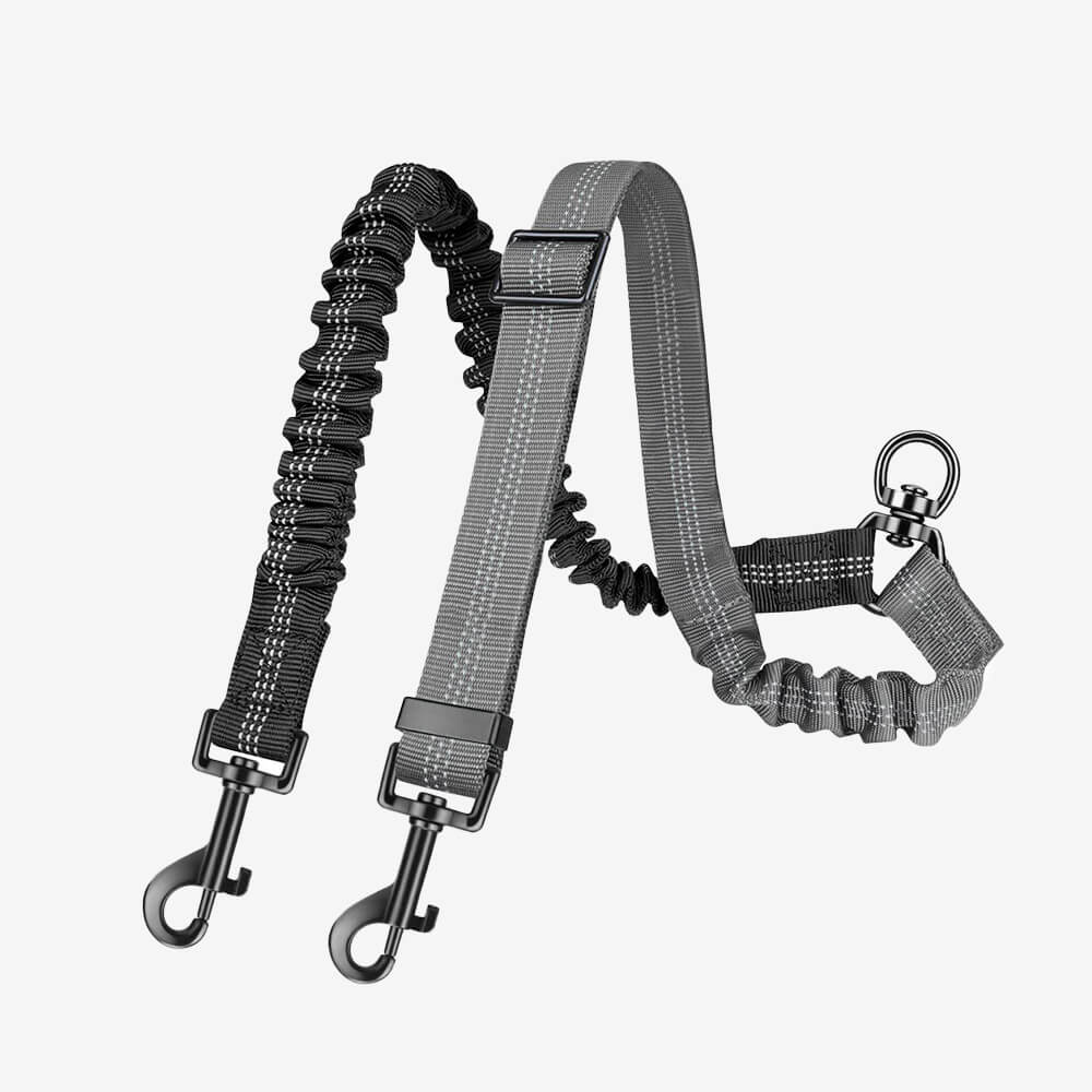 No-Tangle Shock Absorbing Double Lead Dog Lead