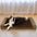 Faux Fleece & Suede Full Support Orthopaedic Dog Bed