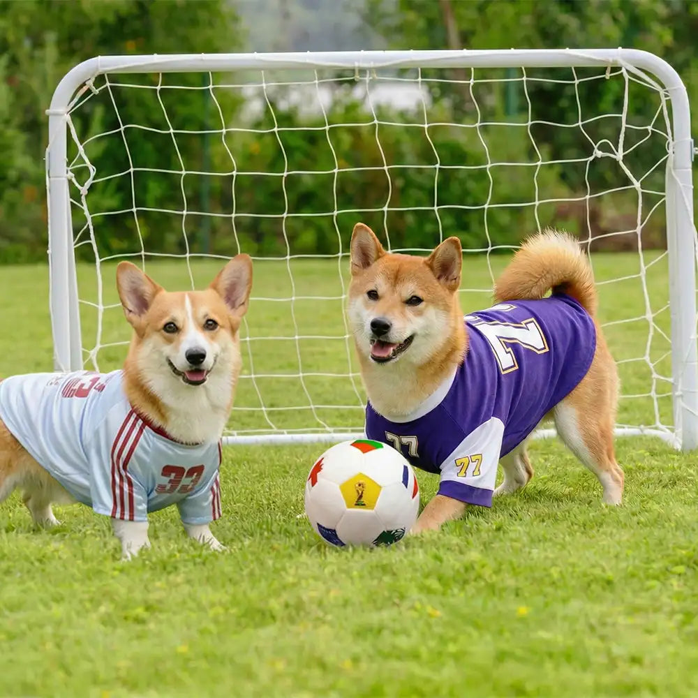 Football Plush Pillow Doy Toy Interactive Dog Toys