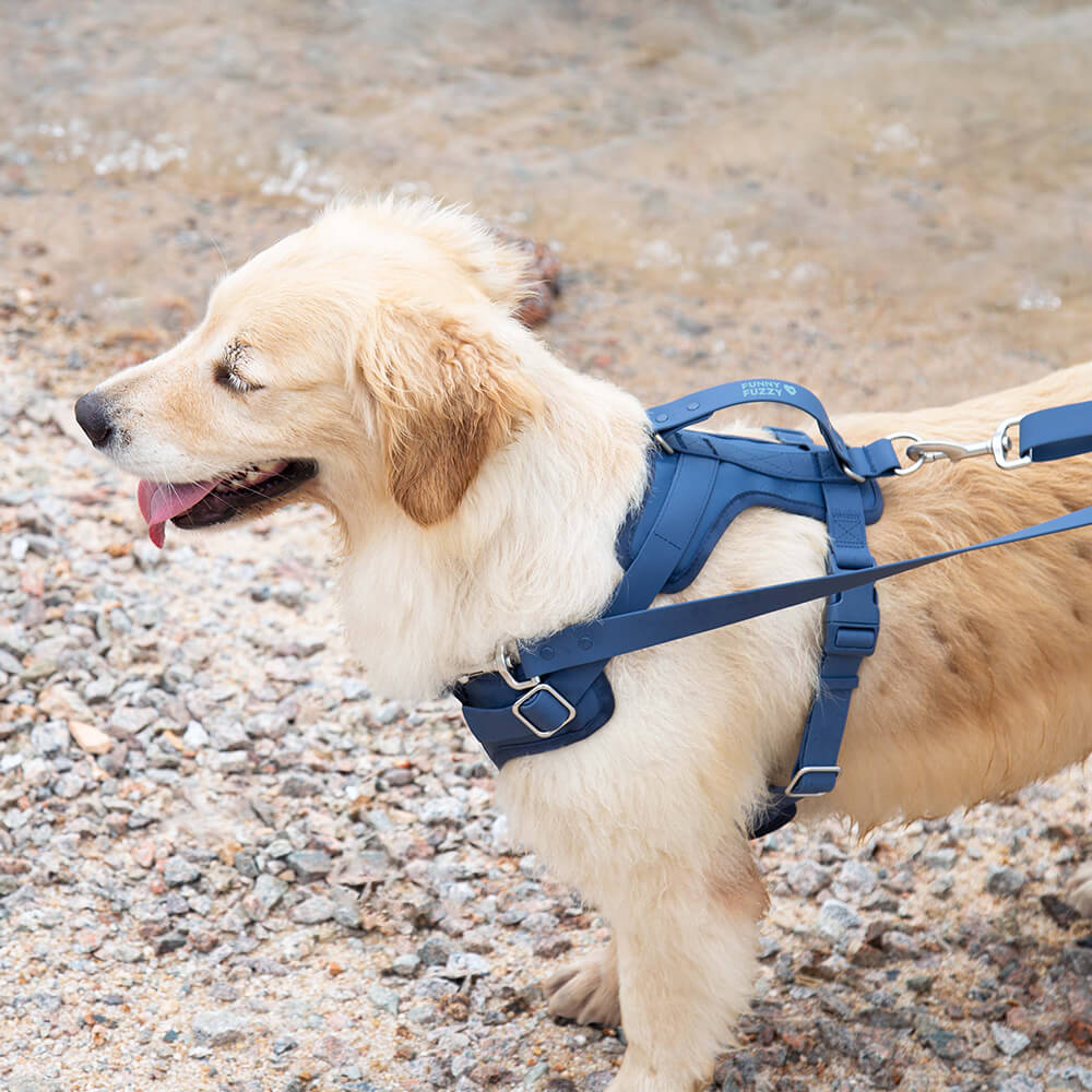 Gummy Dog Harness - FUNNYFUZZY