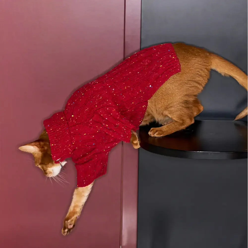 Cable Knit Zipper Collar Dachshund Dog Jumper